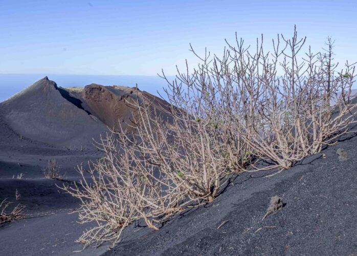 7 Curiosidades del Volcán Tajogaite | La Palma