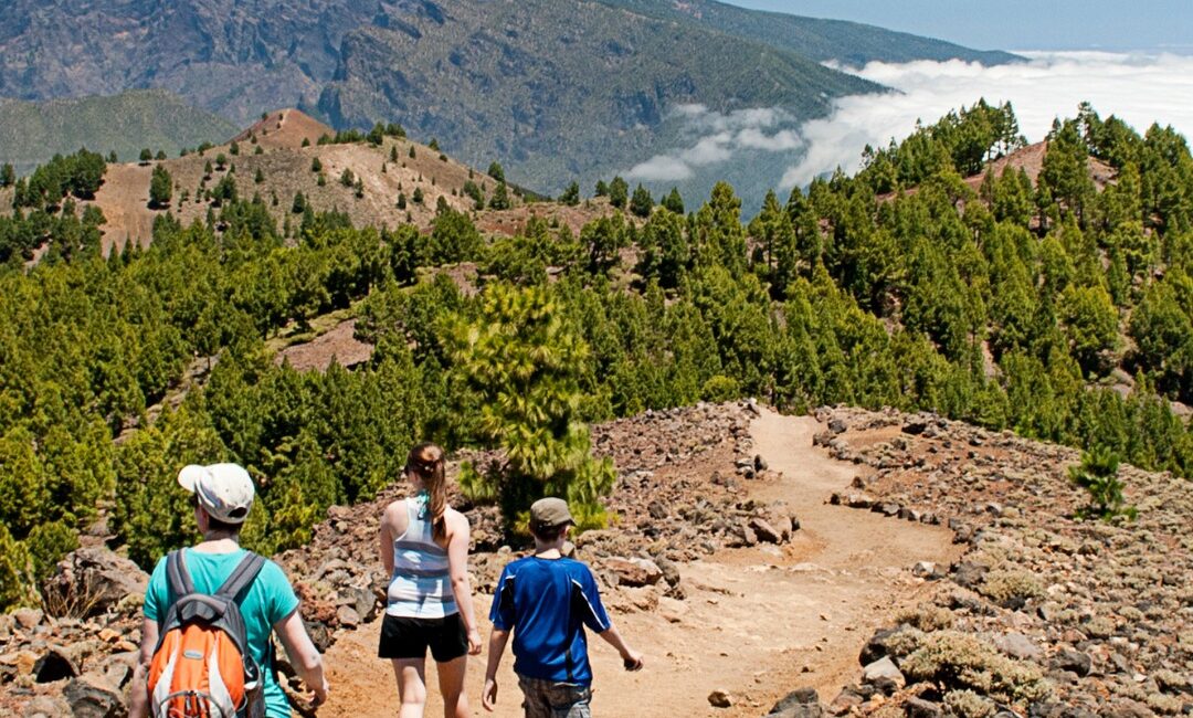 Realiza la Ruta de los Volcanes de La Palma con un guía profesional