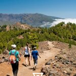 Realiza la Ruta de los Volcanes de La Palma con un guía profesional