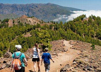 Realiza la Ruta de los Volcanes de La Palma con un guía profesional