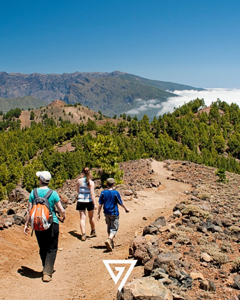 Realiza la Ruta de los Volcanes de La Palma con un guía profesional