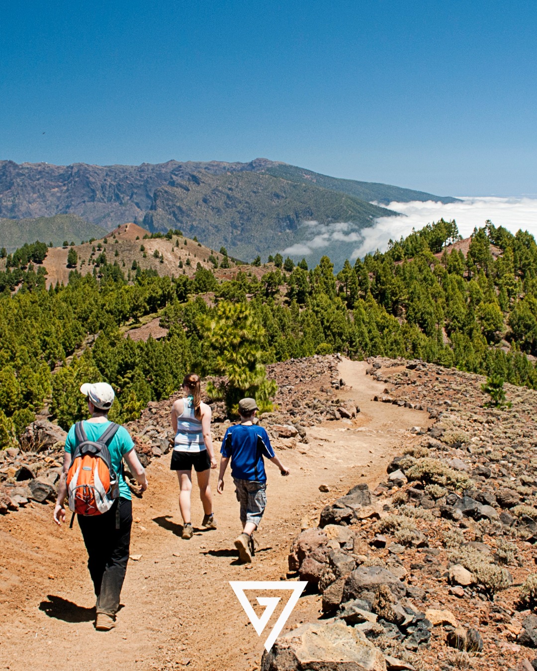 Realiza la Ruta de los Volcanes de La Palma con un guía profesional
